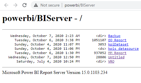 open report in Report Viewer in ssrs