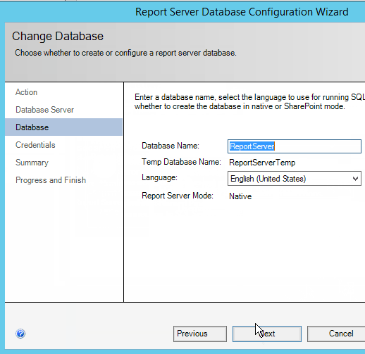 Set Database Name SSRS 2016